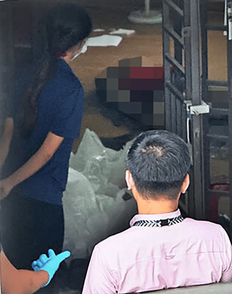 皇冠会员如何申请_新加坡现双尸案:父亲成白骨皇冠会员如何申请,剑桥博士女儿疑饿死,一家来自东北