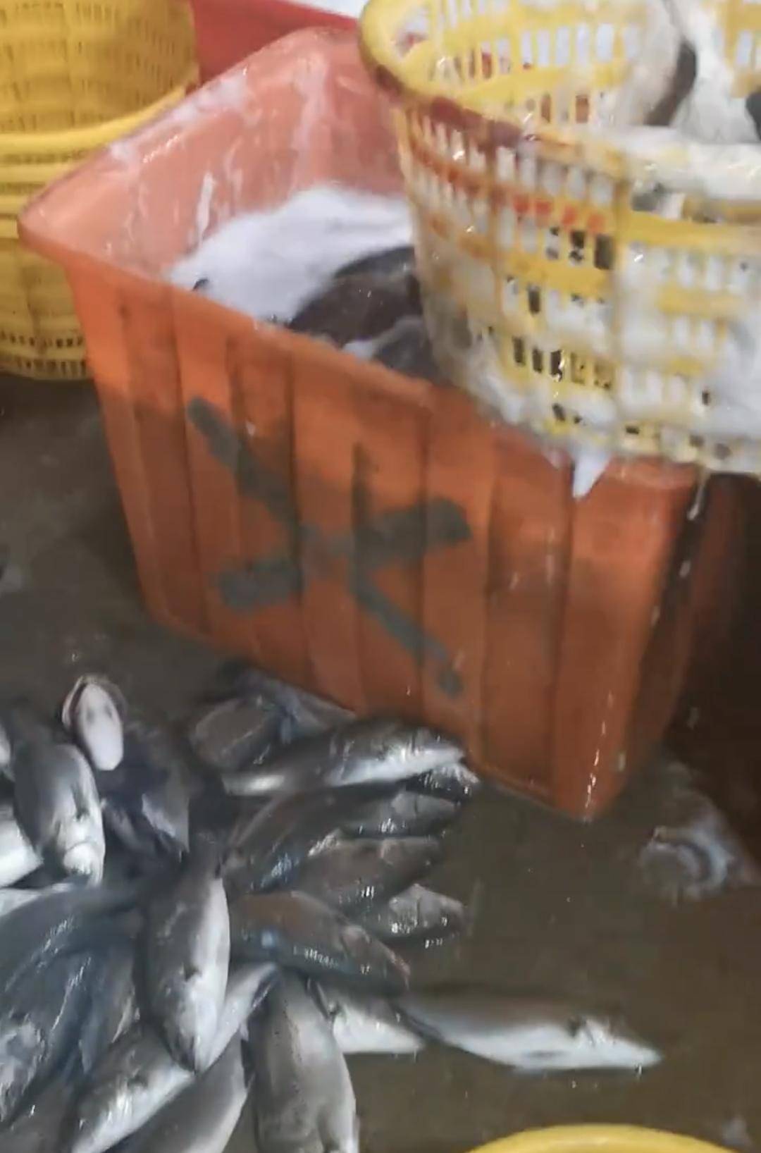 皇冠信用網开号
_水产市场“麻醉鱼”调查：有商家称麻药有味会换水再卖皇冠信用網开号
，有无危害尚不明，出台监管措施尚缺理论依据