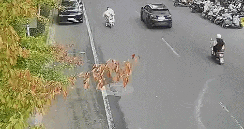 皇冠信用網会员开户
_事故频发皇冠信用網会员开户
!电动自行车“挡风被”到底该不该用?