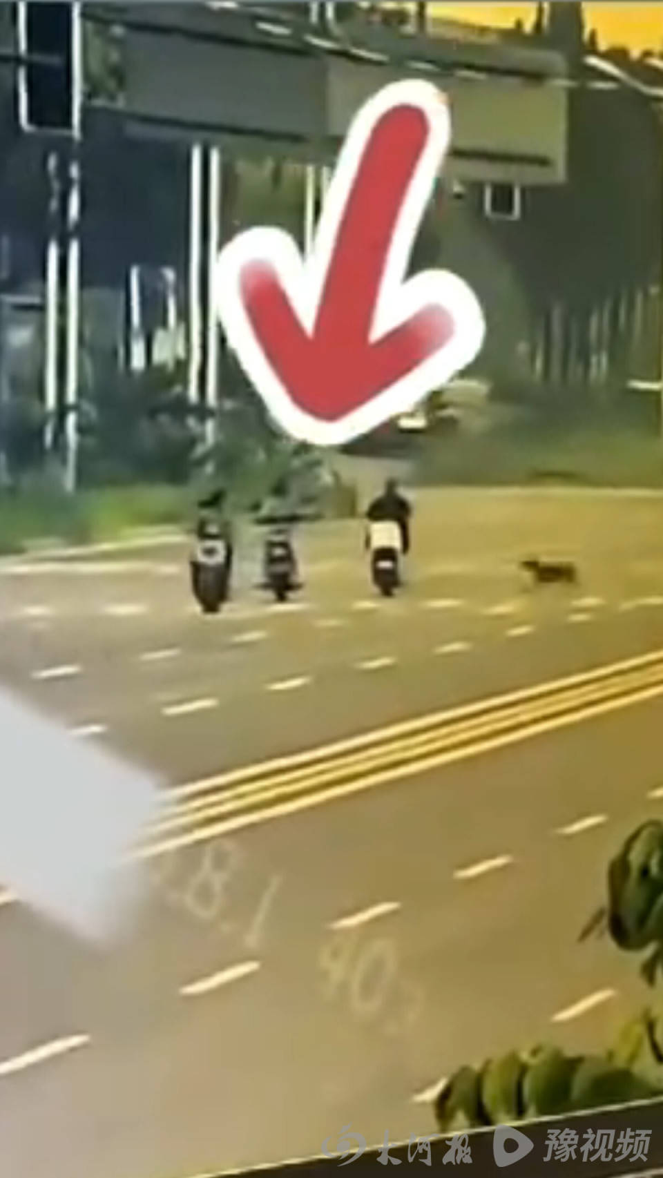 皇冠信用盘代理登3_河北女子骑行被未拴绳大狗撞倒身亡皇冠信用盘代理登3，其丈夫又突发脑溢血昏迷，留下3个孩子与两名老人