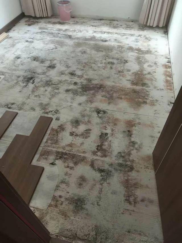 皇冠信用网网址_河南郑州保利一小区超两百户精装房成“霉菌房” 皇冠信用网网址，家里一股霉味