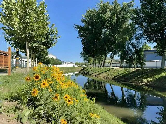 皇冠信用网最高占成_“挺壮观皇冠信用网最高占成，好像水被煮开了”！时隔30余年，顺义箭杆河泉眼复涌