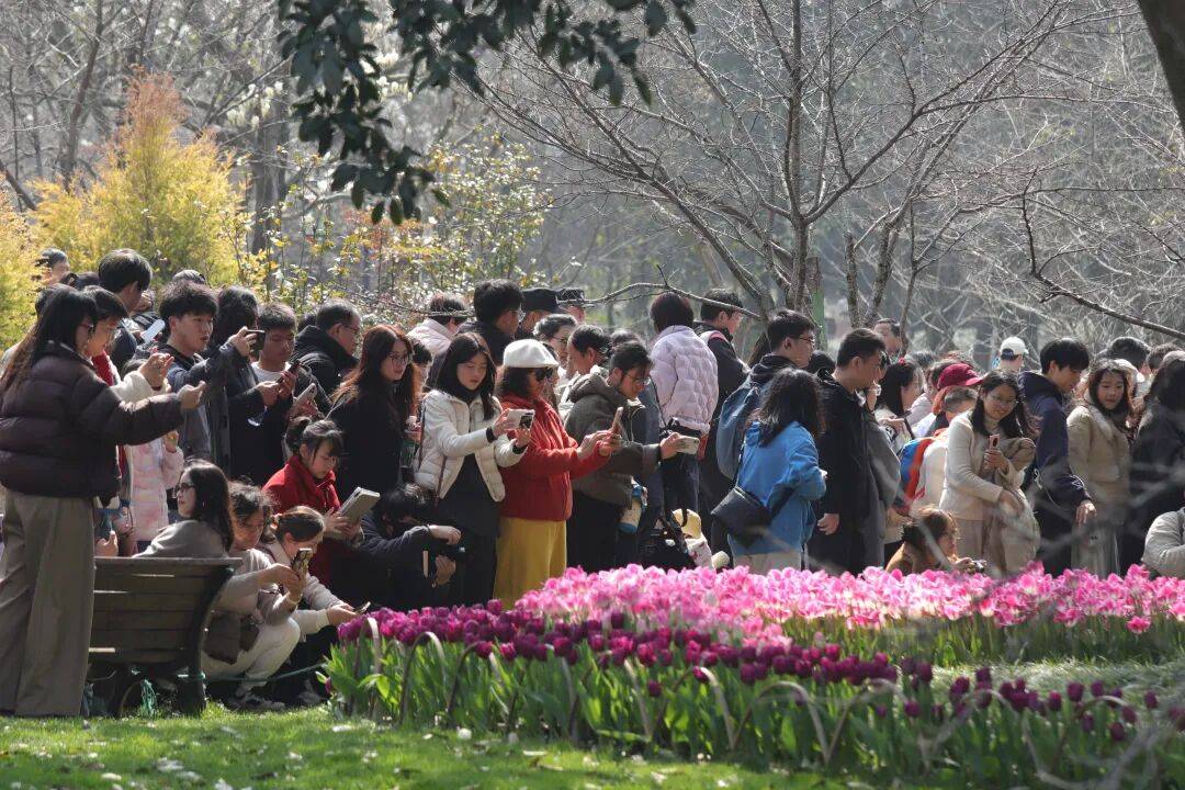 皇冠信用网代理登1
_飙到20℃!杭州人注意皇冠信用网代理登1
,大反转来了!时间已确定......