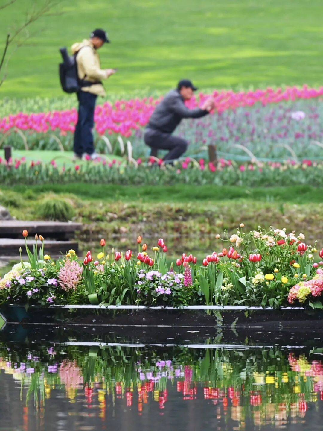 皇冠信用网代理登1
_飙到20℃!杭州人注意皇冠信用网代理登1
,大反转来了!时间已确定......