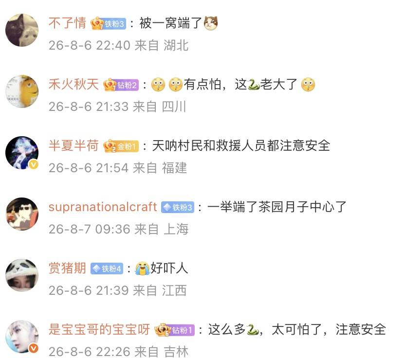 皇冠信用网申请_云南一茶园发现眼镜王蛇皇冠信用网申请,仔细一看,竟然是一家38口!网友:这是眼镜王蛇月子中心