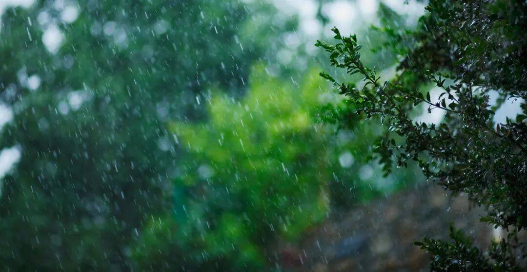 皇冠信用盘
_北京:下午降雨逐渐结束皇冠信用盘
,明日天晴气温升