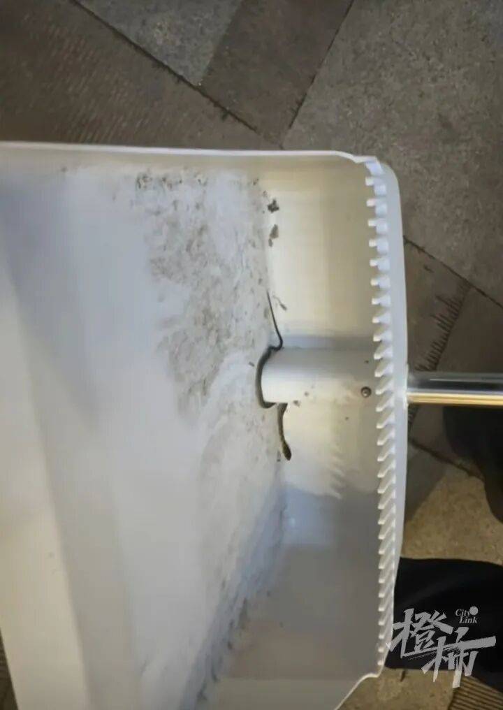亚洲杯足球比分_女子59.8元买的盆栽18天爬出4条蛇亚洲杯足球比分,扒开泥土还有蛇蛋
