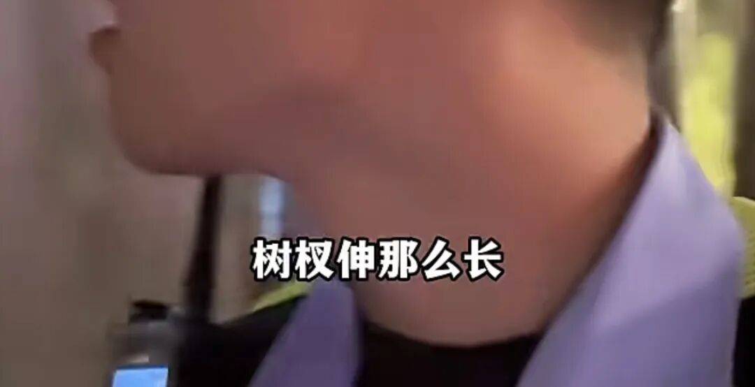 世界杯代理
_“树全责世界杯代理
!”上海一司机撞树喊冤:这棵树长太歪!交警一句话点醒众人