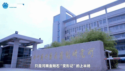 2022足球平台出租 _金刚石在河南的N种模样丨开局之年看中国