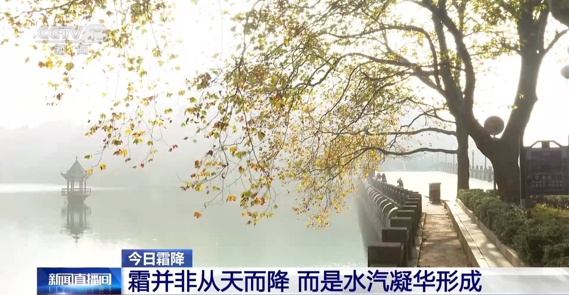 皇冠平台出租
_霜降天一定会降霜吗皇冠平台出租
?霜降≠降霜