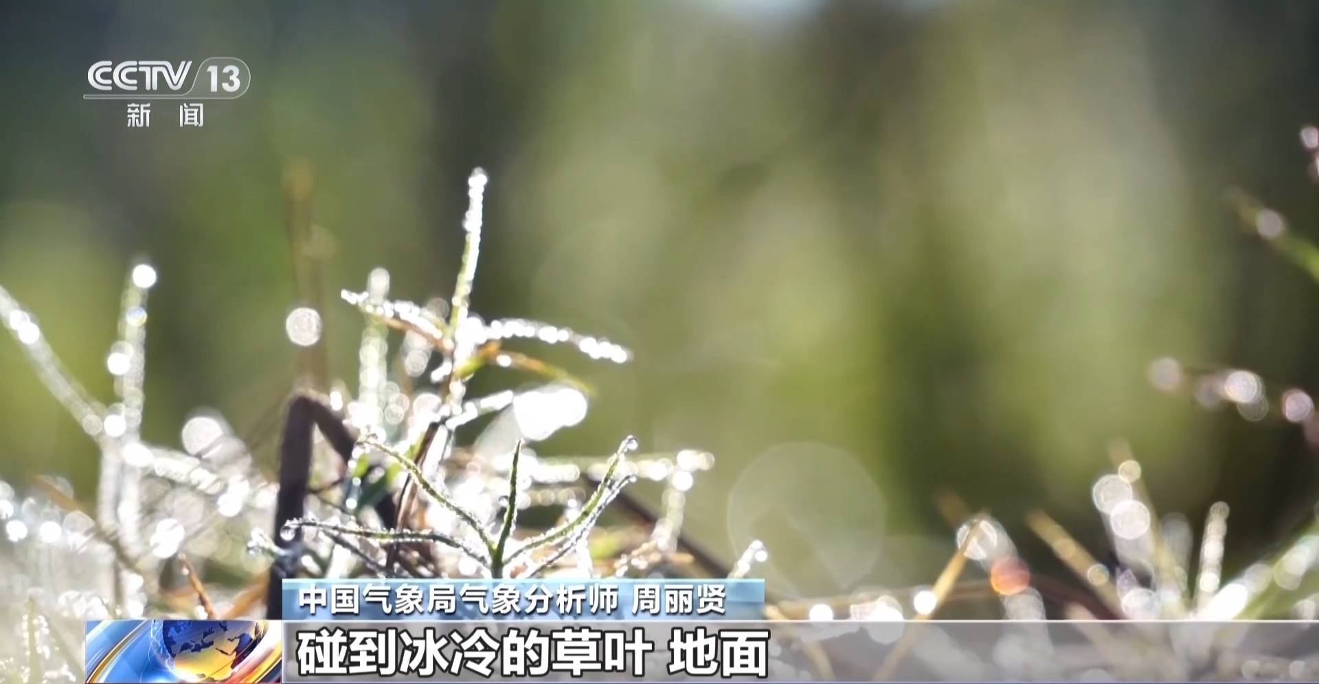 皇冠平台出租
_霜降天一定会降霜吗皇冠平台出租
?霜降≠降霜
